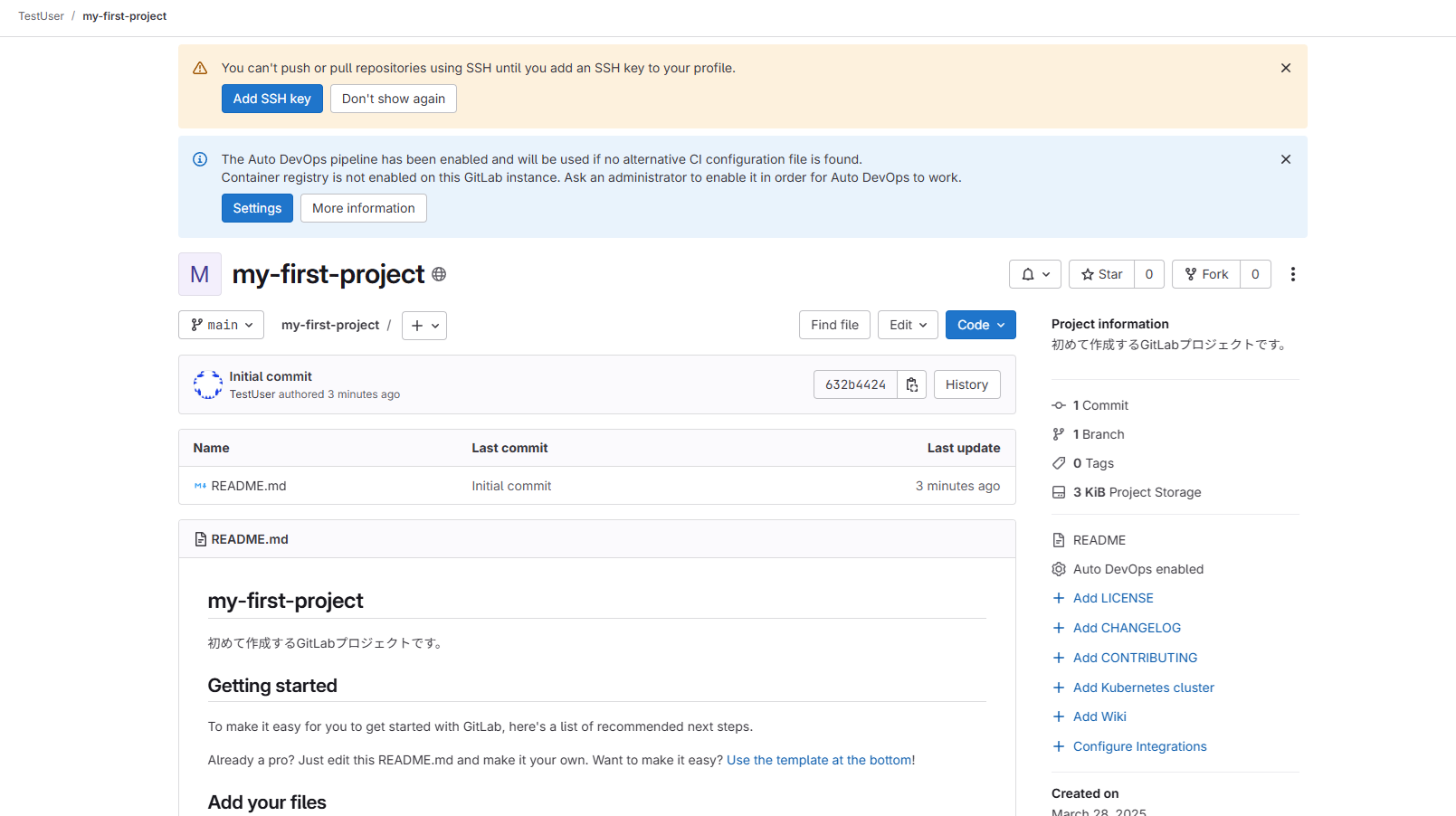 setup-gitlab-05